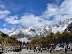 -金鼎雪山牦牛杂火锅(理县总店)