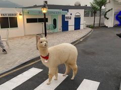 -Blue Concept Cafe&Farm·關於藍