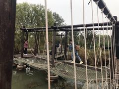 -长兴太湖图影湿地文化园