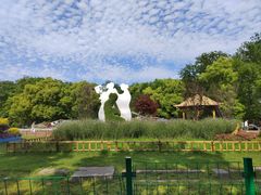 -上海共青森林公园