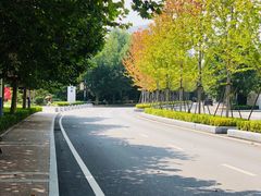 -大连理工大学(凌水校区)