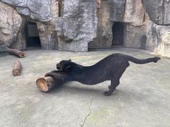 -南昌动物园