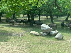 -西安秦岭野生动物园