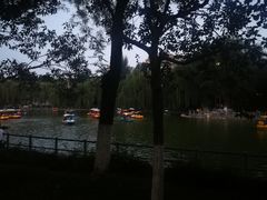 -莲湖公园