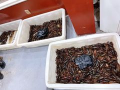 -菜哥龙虾•九江菜(七中店)