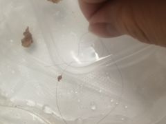 -鸡公煲烤鱼·石锅鱼(万科时1区店)