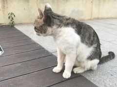 -UNI UNI(环亚凯瑟琳店)