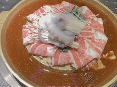 章鱼-小牛哈尼韩式水煎肉(万象城店)