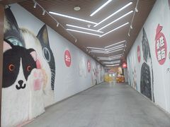 -首创奥特莱斯(北京店)