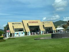 -亚龙湾国际玫瑰谷