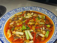 -院8里·小聚园(九眼桥店)