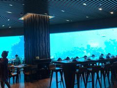 大堂-海棠湾洲际-涛·海底餐厅·美人鱼·自助餐·海底隧道
