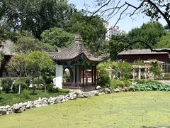 -莲湖公园