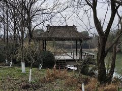 -西溪国家湿地公园