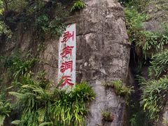 -深圳仙湖植物园