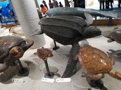 -青岛海底世界-水族馆