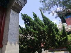 -大钟寺古钟博物馆