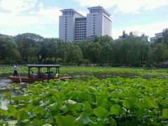 android_upload_pic-紫竹院公园冰场