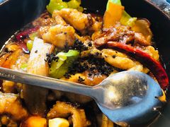 黑松露牛肝菌焖牛蛙-云海肴·汽锅鸡·云南菜(天山百盛优客店)