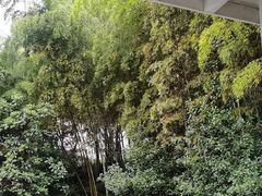 -故乡缘·香格里拉山庄(冷竹路店)