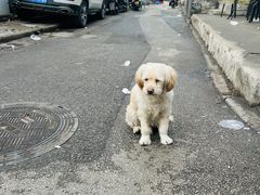 -东仓门早市