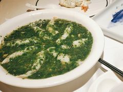 荠菜松茸烩黄鱼-老人和饭店(淮海中路店)