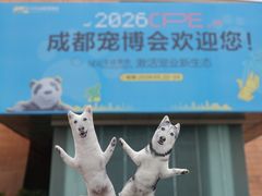 -国际非物质文化遗产博览园