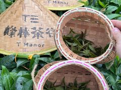 -英西峰林·洞天仙境