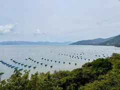 -抚仙湖禄充风景区