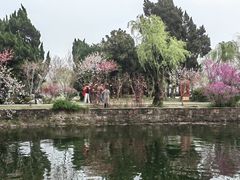 -无锡蠡湖国家湿地公园-蠡园