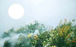 点击看大图 -奈斯影像婚纱摄影(拱墅店)