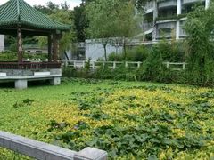 -黄埔古港