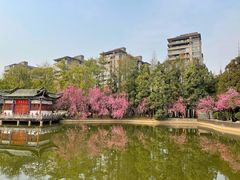 -昆明市金殿名胜区