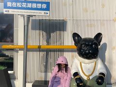 -中旅松花湖滑雪场