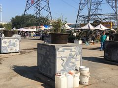 -中环花鸟鱼虫市场