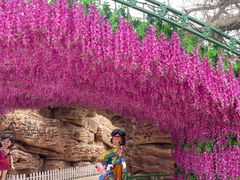 -蓬莱欧乐堡梦幻世界