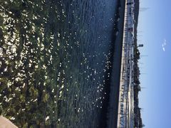 iphone_upload_pic-沃森湾