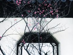 -八大山人梅湖景区