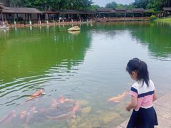 -湖泉半山温泉
