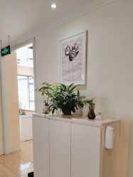 -SILKTONE诗丽堂美容