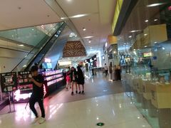 -岭南站NOVA
