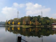 -重庆彩云湖湿地公园