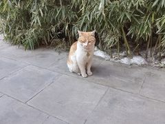 -李叔同故居纪念馆