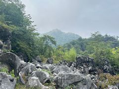 -千岛湖石林