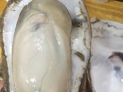 -蚝专家(北滘店)