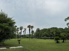 -新洲生态园