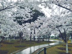 -江南大学(蠡湖校区)