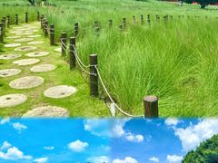 -红花山公园