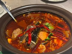 -醉庐·新上海菜(南京西路店)