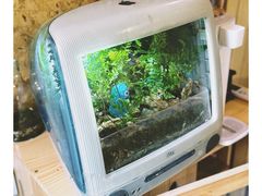 -海边的猫和咖啡馆